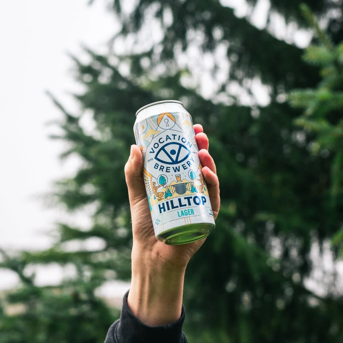 12PK Hilltop Lager | 4.3% Lager 440ml - Image 5